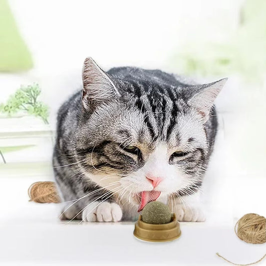 Edible Catnip Ball for Cats