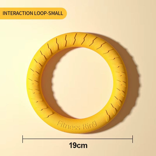 Dog Training Ring Toy