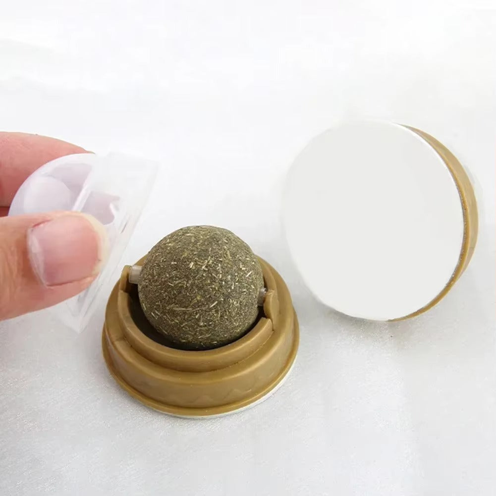 Edible Catnip Ball for Cats