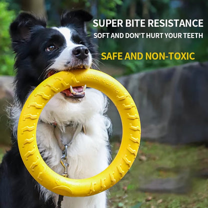 Dog Training Ring Toy