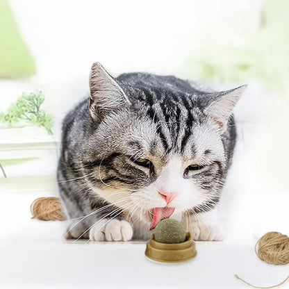 Edible Catnip Ball for Cats