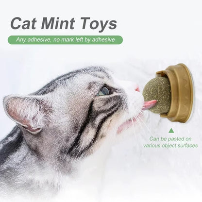 Edible Catnip Ball for Cats