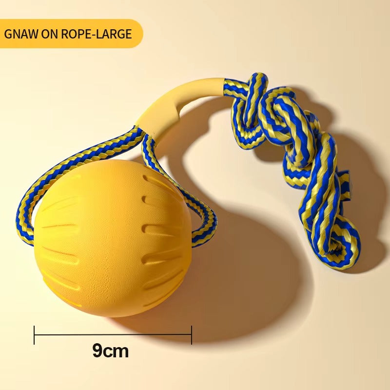 Dog Training Ring Toy