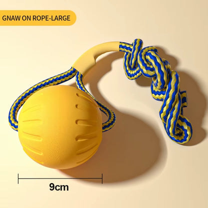 Dog Training Ring Toy