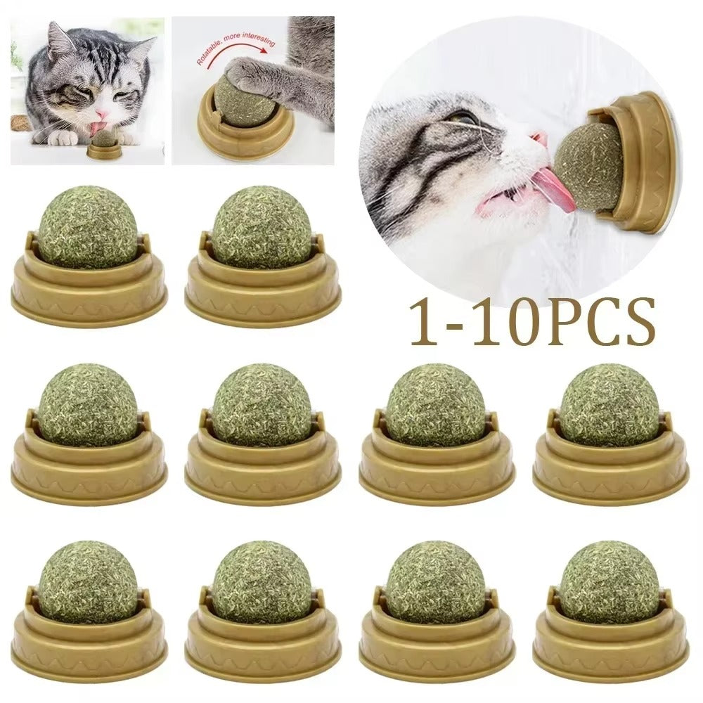 Edible Catnip Ball for Cats