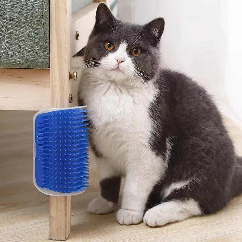 Self Grooming Cat Brush with Catnip