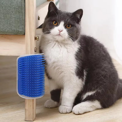 Self Grooming Cat Brush with Catnip