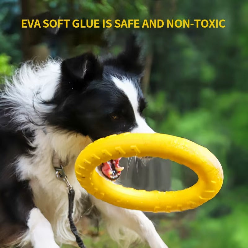 Dog Training Ring Toy