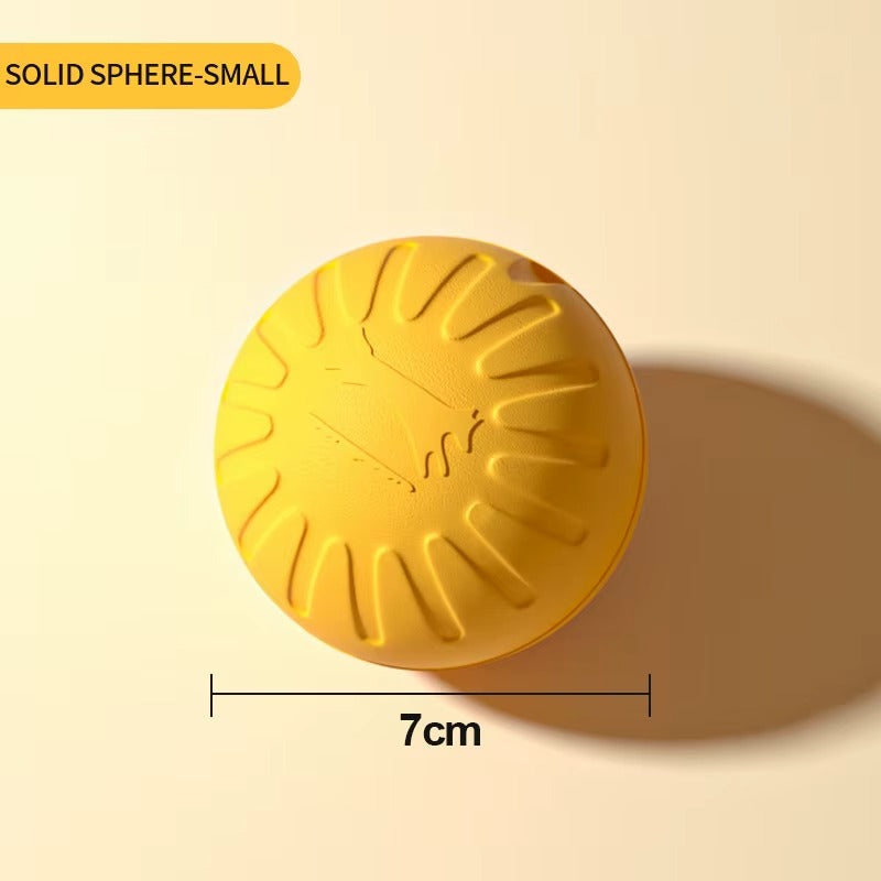 Dog Training Ring Toy