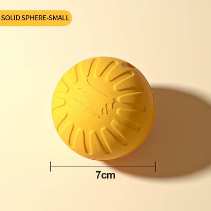 Dog Training Ring Toy