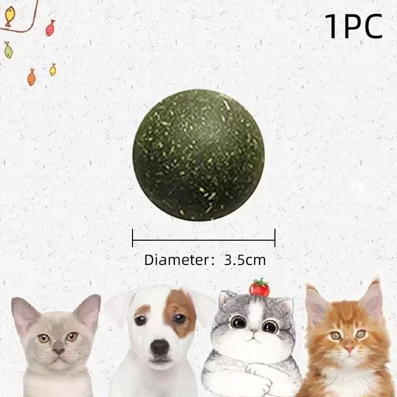 Edible Catnip Ball for Cats
