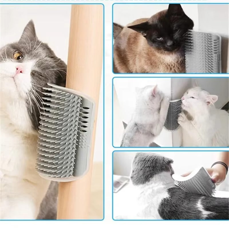 Self Grooming Cat Brush with Catnip