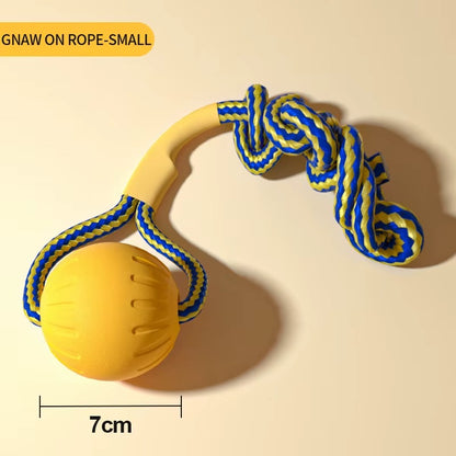 Dog Training Ring Toy