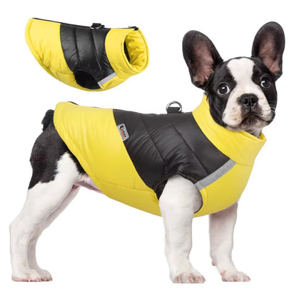 Reflective Winter Dog Jacket with Harness