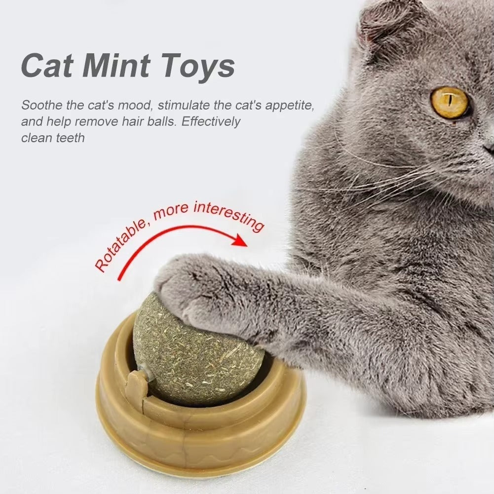 Edible Catnip Ball for Cats