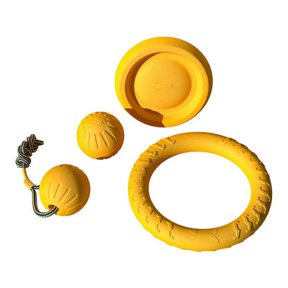 Dog Training Ring Toy