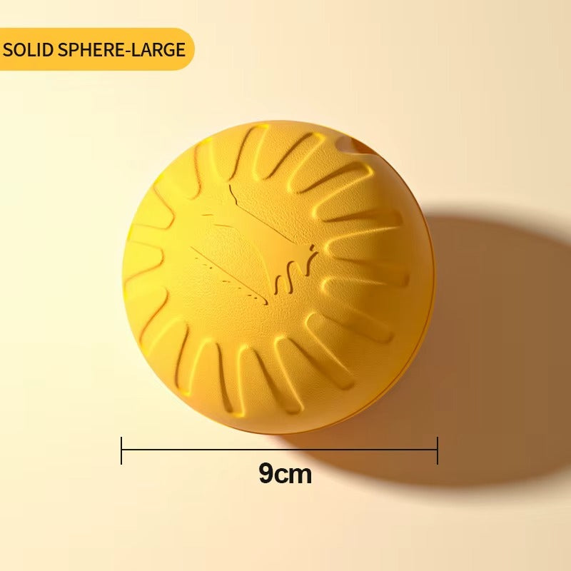 Dog Training Ring Toy
