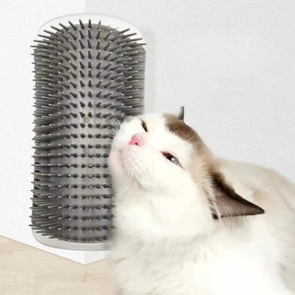 Self Grooming Cat Brush with Catnip